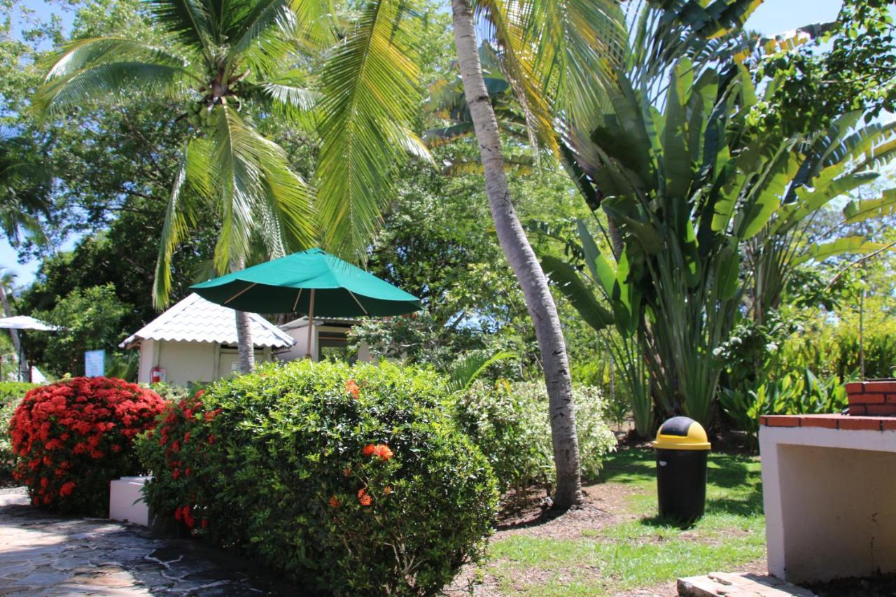 Apartamento Tropical Bliss Pool Wi-Fi Bbq Near Quepos Manuel Antonio Exterior foto