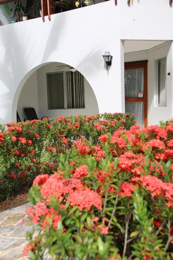 Apartamento Tropical Bliss Pool Wi-Fi Bbq Near Quepos Manuel Antonio Exterior foto