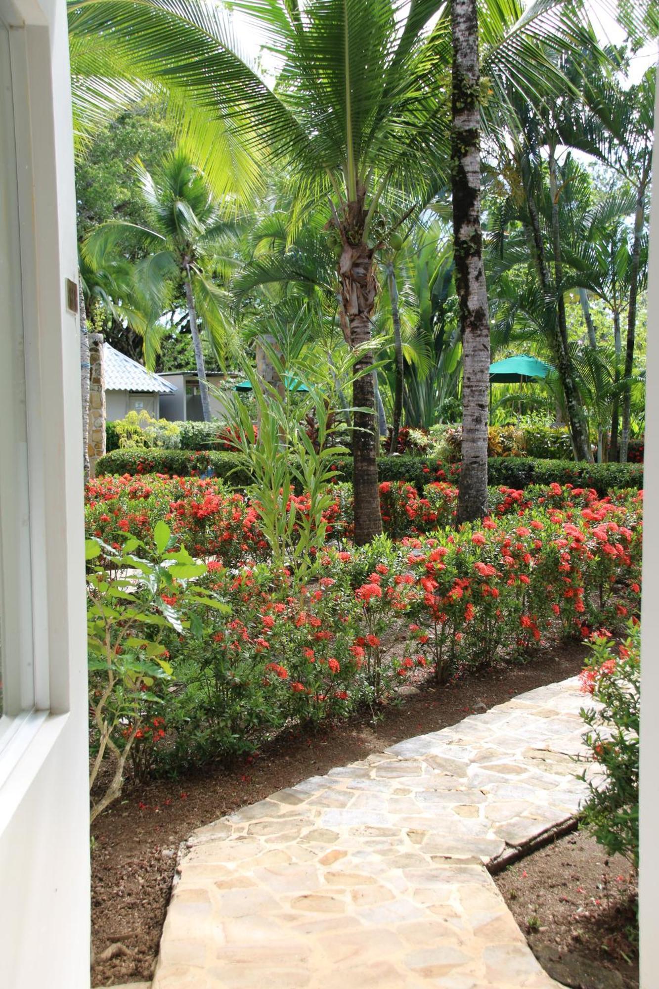 Apartamento Tropical Bliss Pool Wi-Fi Bbq Near Quepos Manuel Antonio Exterior foto